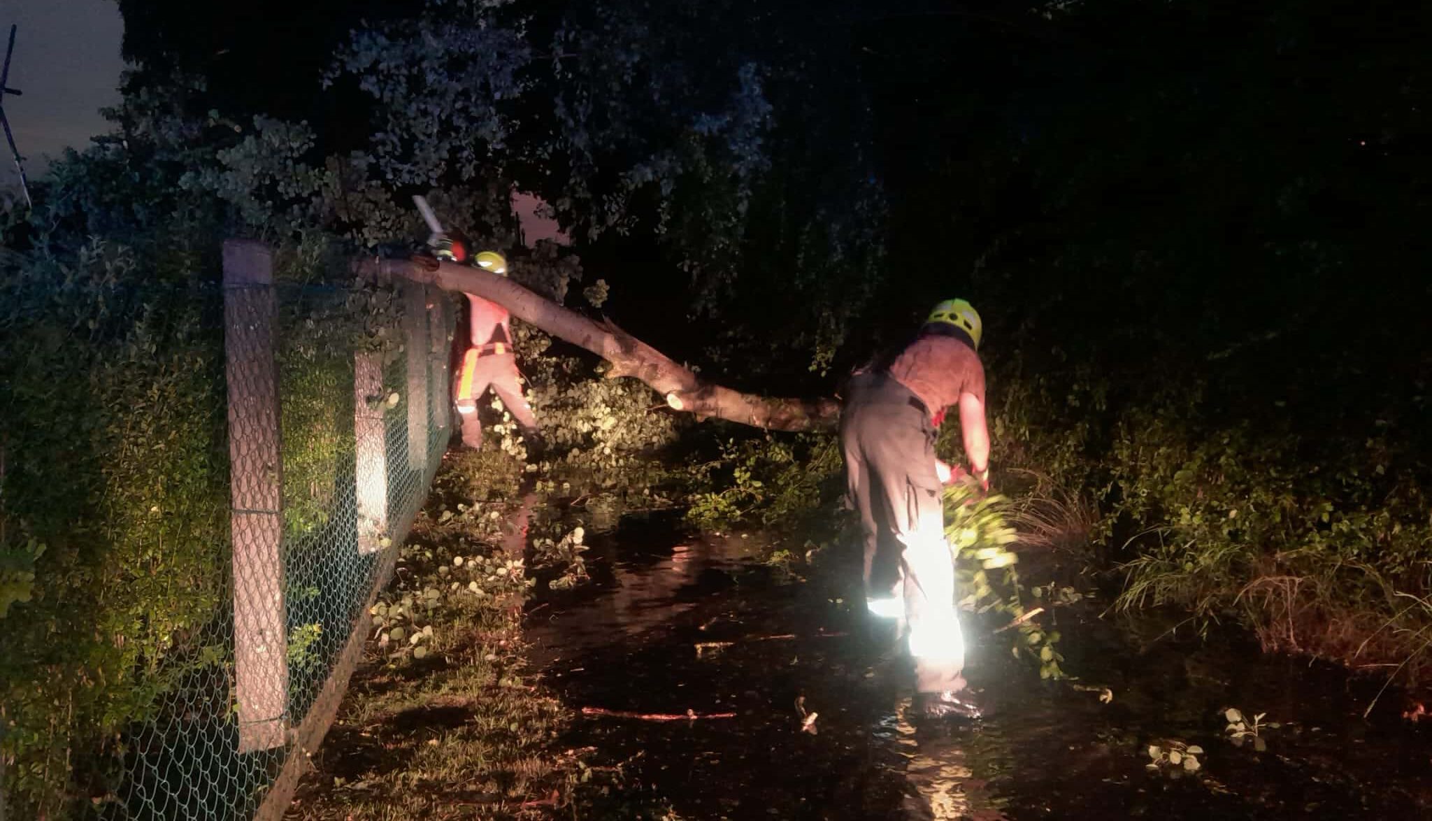Einsatzbericht – Hilfeleistung Natur